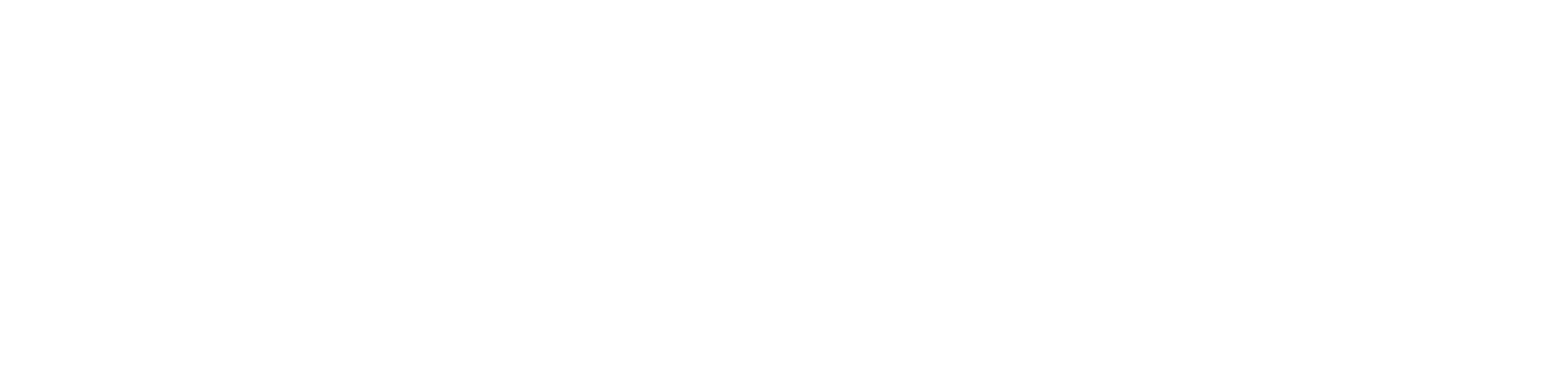 Partner Logo 1