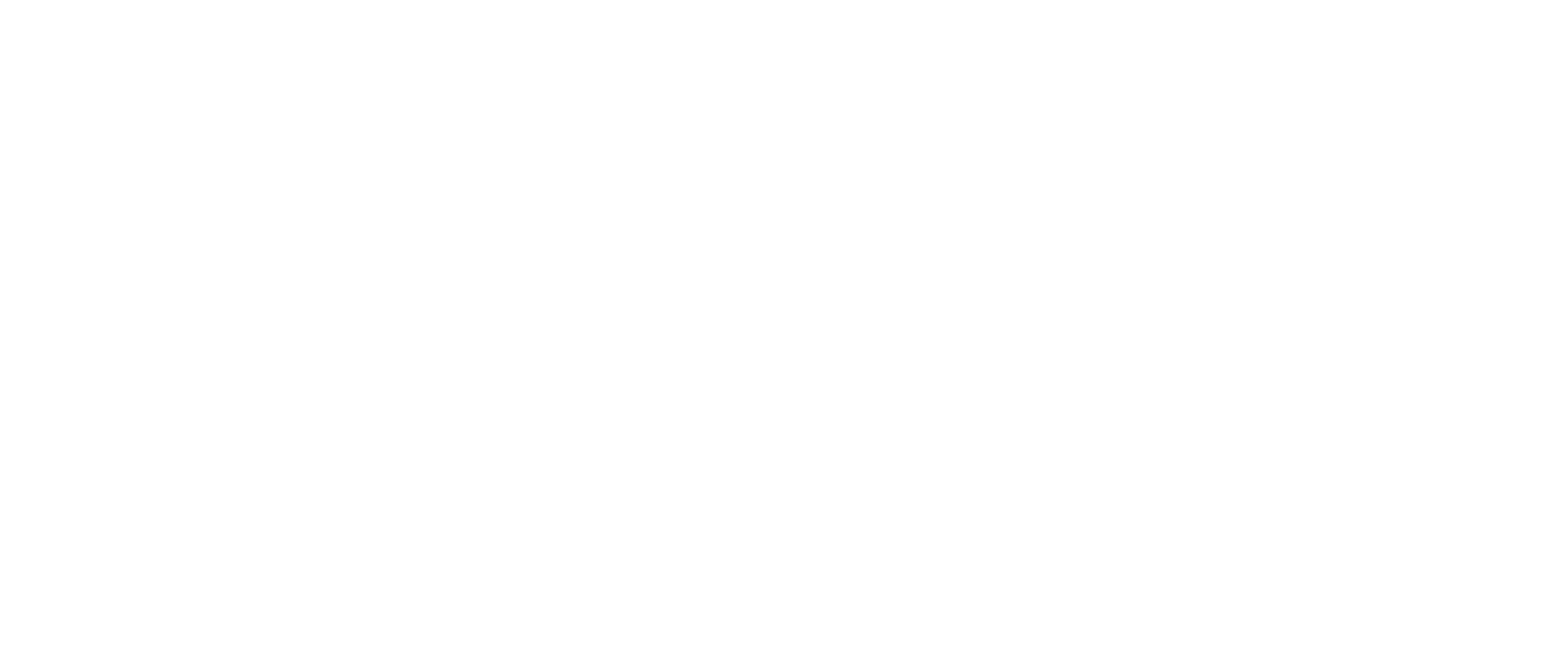 Partner Logo 5